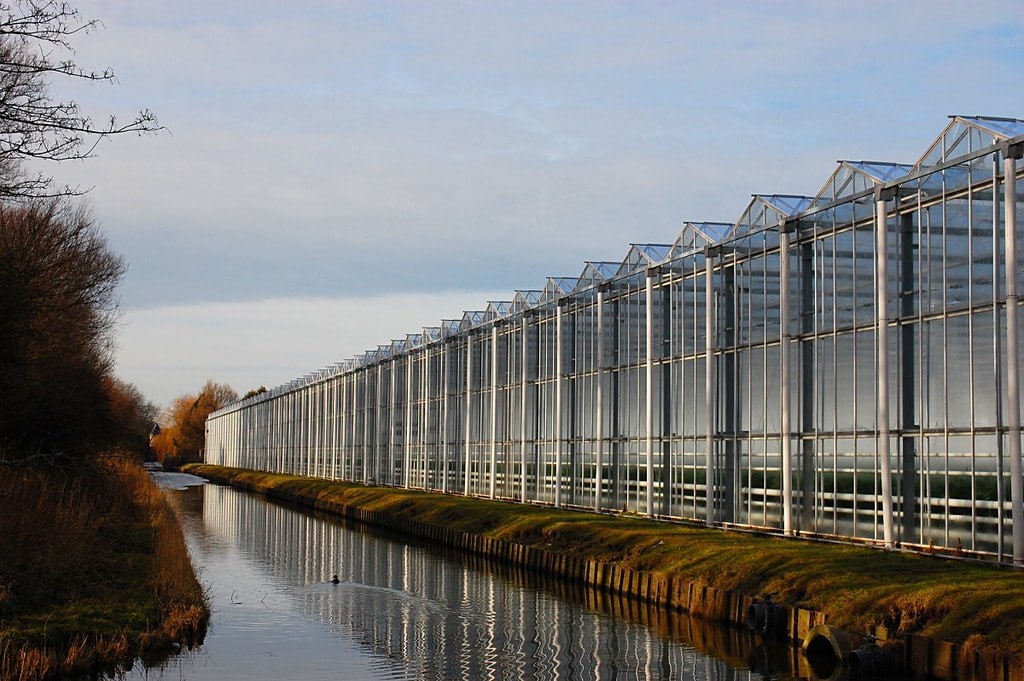 Greenhouses in The Netherlands - Photo by Colin Brace, flickr